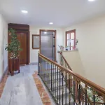Appartement Guestready - Centro Urban La Laguna (Tenerife)